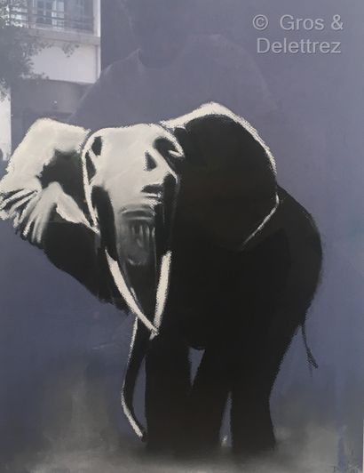 null (E) Ecole contemporaine

Elephant de face

Elephant de profil 

Hameau 

Réunion...