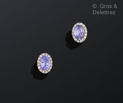 null Pair of earrings in white gold 750 thousandths centered on an oval tanzanite...