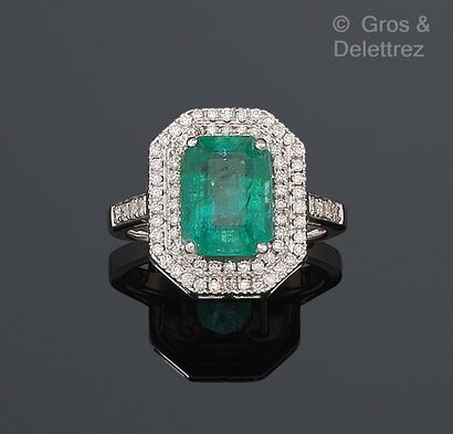 null Ring in white gold 750 thousandth centered of a rectangular emerald cut to degrees...