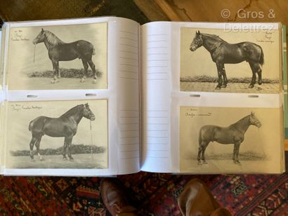 null Collection de cartes postales sur le thème du cheval provenant en partie de...