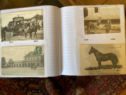 null Collection of postcards on the theme of the horse coming partly from the old...