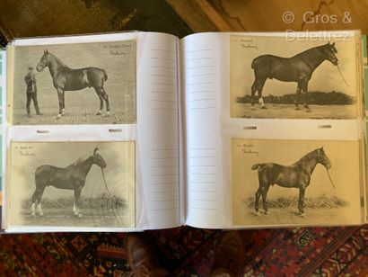 null Collection of postcards on the theme of the horse coming partly from the old...