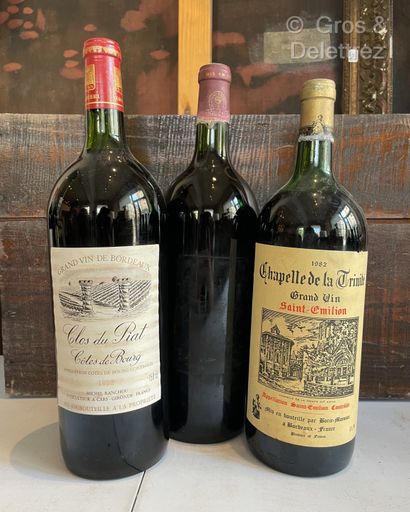3 magnums BORDEAUX DIVERS of which 2 of 1982...