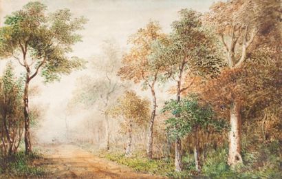 Eugène CICERI (1813-1890) Paysage boisé avec une allée Aquarelle Signée et datée...