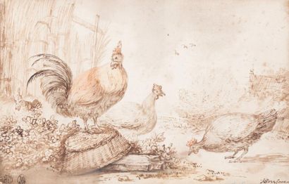 Anthonie van BORSSOM (Amsterdam 1631 - 1677) Deux poules et un coq Aquarelle, plume...