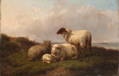CORNELIS VAN LEEMPUTTEN (1841-1902) Les moutons Huile sur panneau signée en bas à...
