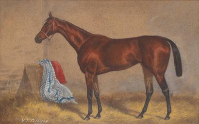 V.J. COTLISON (actif c. 1890) Cheval «Arlette» Pastel, signé en bas à gauche. 30...