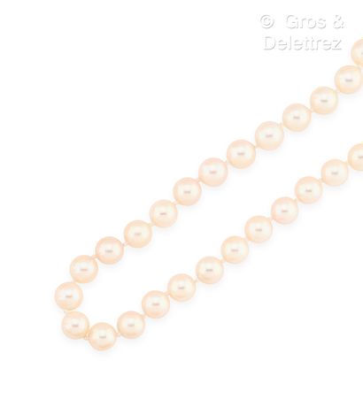 null Long collier composé d’un rang de perles de culture blanches. Fermoir à cliquet...