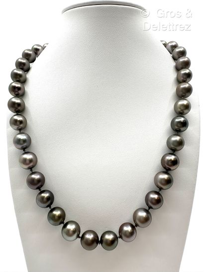 ARFAN Paris Collier composé d’un rang de perles de culture grises de Tahiti en chute,...