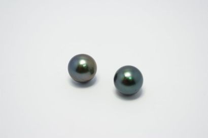 null Lot de deux perles de culture grises de Tahiti non percées. Diamètre 14 mm