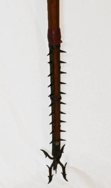 null Arme d'Hast, le long manche en bois de Kiri. Japon, période Edo Haut. 212 c...