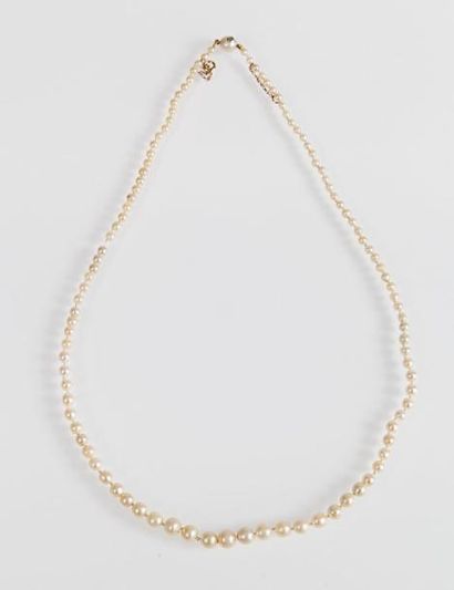 null Collier de perles de cultures et de perles fines mélangées, fermoir dans une...