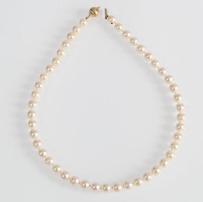 Collier de perles de culture japonaise AKOIA,...