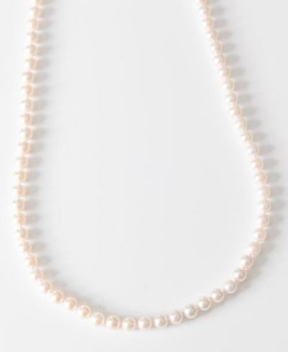 null Sautoir de perles de culture akoia. Diamètre des perles: 7,5 à 8mm