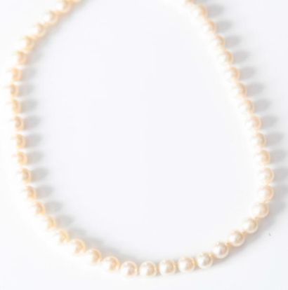 Collier de perles de culture japonaise Akoia....