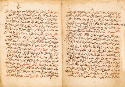 null Manuscrit arabe médical NAJIB AL-DIN AL-SAMARKANDI. Kitab al-asbab wa-l alamat...