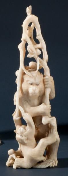 null Okimono en ivoire représentant des singes jouant dans des branchages chargés...