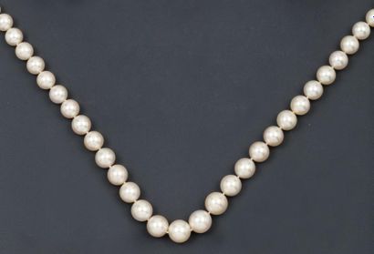 Collier de 35 perles de culture des Mers...