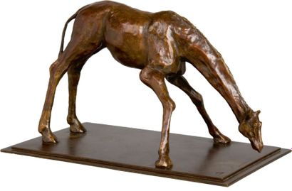 Catherine BOISSEAU (née en 1952) Girafe buvant Epreuve en bronze à patine brune....
