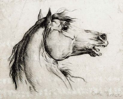 Carle VERNET (1758-1836) Tête de cheval Dessin à la mine de plomb, signé en bas à...
