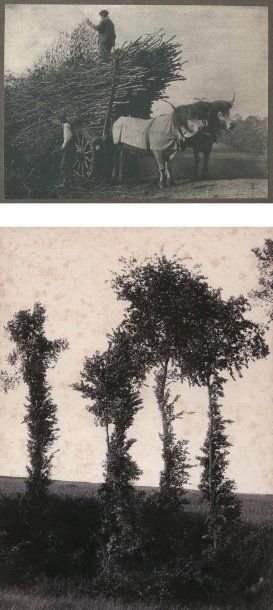 Vicomte Paul de Singly (1844-1912) Etudes d'arbres et scènes champêtres, c. 1902....