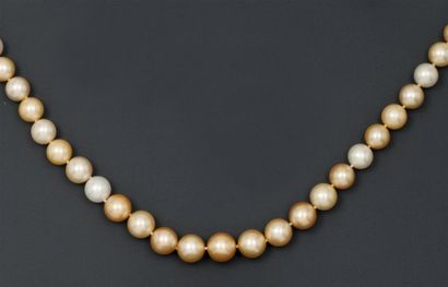 null Collier de 35 perles de culture des mers du Sud de couleurs blanches et gold....