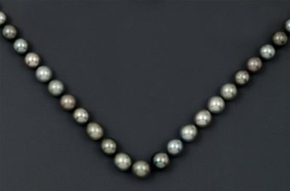 null Collier de trente cinq perles de culture grises de Tahiti. Diamètre des perles:...