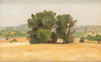 René DUREY (1890-1959) Le bosquet Huile sur toile, signee en bas a droite. 22 x 35,5...