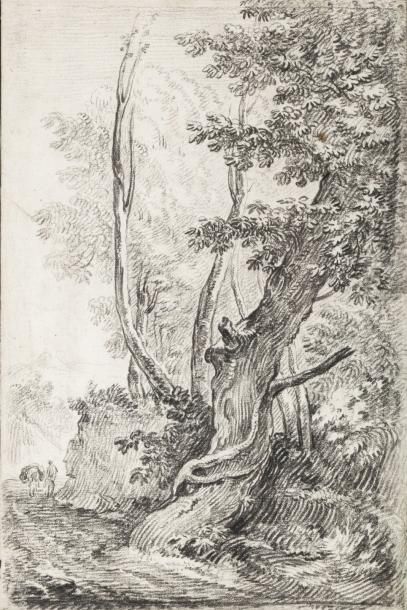 Attribué à Nicolas-Charles de SILVESTRE (1699-1767) Chemin bordé d'arbres Pierre...