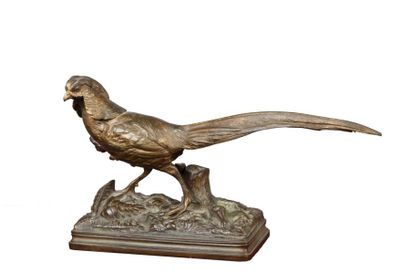 Alfred DUBUCAND (1828-1894) Coq faisan Statuette en bronze à patine brune et mordorée,...