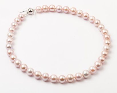 null Collier choker de perles de culture d'eau douce de couleur rosée. Fermoir boule...