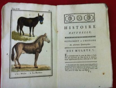 BUFFON Histoire naturelle, générale et particulière. Aux Deux-Ponts, Sanson et Compagnie,...