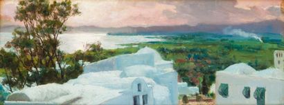 Auguste DELACROIX (1809-1868) Plaine de Carthage, vue de Sidi Bou Saïd Huile sur...
