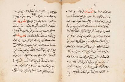 Manuscrit de médecine IBN AL-JAWZI (Abu-l...