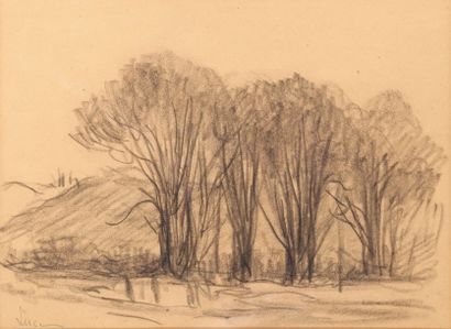 Maximilien Luce (1858-1941) « Les quatre grands arbres » (Rolleboise) Dessin au fusain,...
