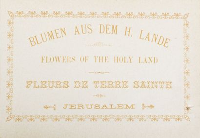 null [Terre Sainte]. Jerusalem. Flowers of the Holy Land. Fleurs de Terre Sainte....