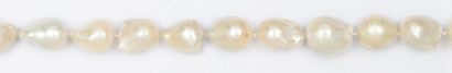 TECLA Collier de perles de culture baroques des mers du Sud. Fermoir en or gris....