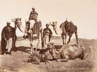 Hippolyte ARNOUX Égypte, c. 1880. Caravane de Chameaux au Mont Sinaï. Épreuve sur...
