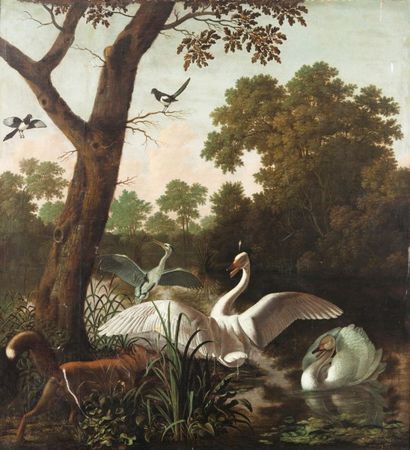 Dirk WINTRACK (1615-1678) Cygnes, grues et renards. Toile 140x129cm (Usures)