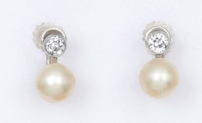 null Paire de boucles d’oreilles en or gris ornées chacune d’une perle surmontée...