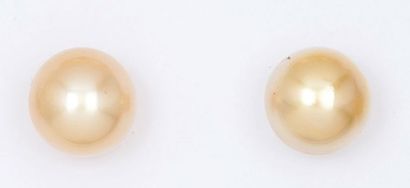null Paire de boutons d’oreilles en or jaune ornés chacun d’une perle «Gold» des...