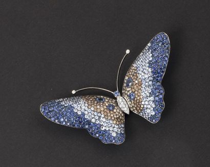 null Broche «Papillon» en or gris et or noirci entièrement sertie de saphirs multicolores...