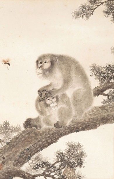 null Aquarelle sur papier représentant deux singes sur une branche de pin agacés...