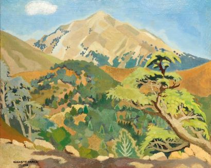 Auguste HARZIC (Alger 1902-1988) Kabylie Huile sur toile, marouflée sur carton épais,...