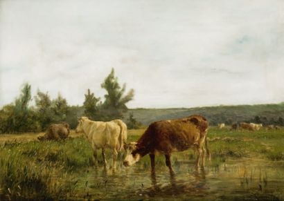 Clément QUINTON (1851-1920) Vaches à la mare Huile sur toile, signée en bas à droite...