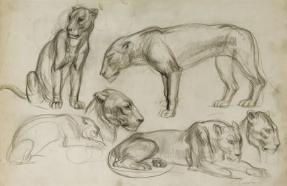 Albert DECARIS (1901-1988) Etude de lionne assise et lionne couchée Mine de plomb,...