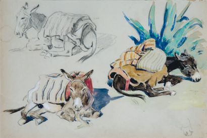 Edouard DOIGNEAU (1865-1954) Etude pour des ânes Aquarelle et crayon noir. 24 x 35...
