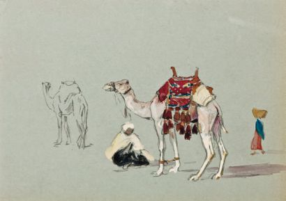 Edouard DOIGNEAU (1865-1954) Etude de chameau Aquarelle. 19 x 26 cm (à vue)
