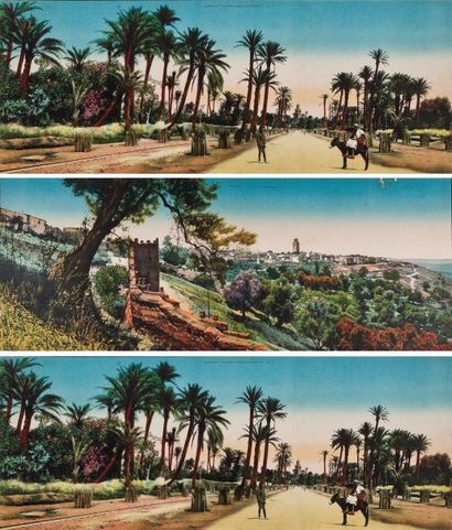 Maroc, c. 1910. Marrakech, palmiers avenue de la Koutoubia. Meknès, vue générale....