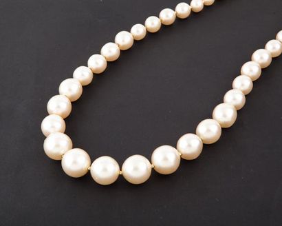 null CHANEL circa 1984 / 1989 Sautoir de perles d’imitation blanches décroissantes...